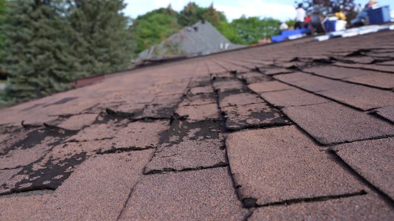 Fast & Reliable Emergency Roof Repairs in St Paul Park, MN